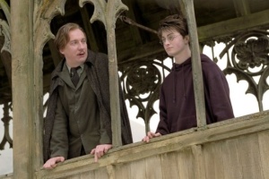 harry and lupin for harry poter blog